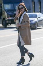 SOPHIA BUSHH Out and About in New York 02/24/2019