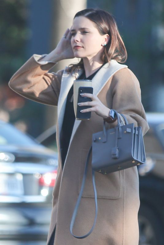 SOPHIA BUSHH Out and About in New York 02/24/2019