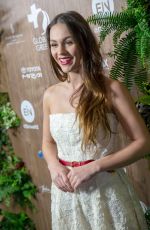 SOPHIE SKELTON at Global Green 2019 Pre-oscar Gala in Los Angeles 02/20/2019