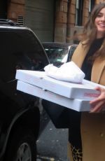 TAYLOR HILL Out for Pizza in New York 02/11/2019
