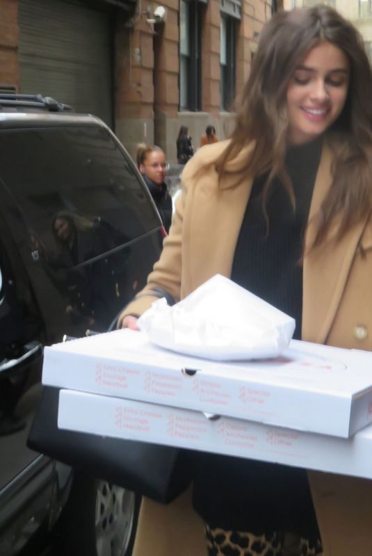 TAYLOR HILL Out for Pizza in New York 02/11/2019