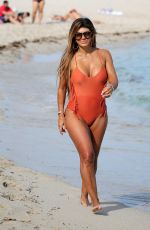TERESA GIUDICE in Swimsuit at a Beach in Miami 02/15/2019