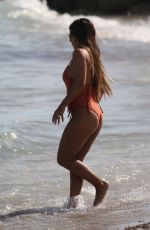 TERESA GIUDICE in Swimsuit at a Beach in Miami 02/15/2019
