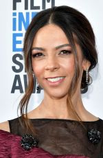 TERRI SEYMOUR at Film Independent Spirit Awards in Santa Monica 02/23/2019