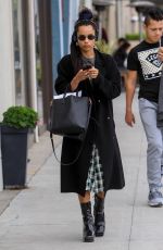 ZOE KRAVITZ Out Shopping on Rodeo Drive in Beverly Hills 02/12/2019