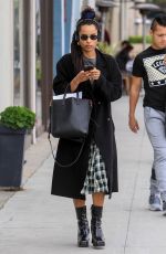 ZOE KRAVITZ Out Shopping on Rodeo Drive in Beverly Hills 02/12/2019