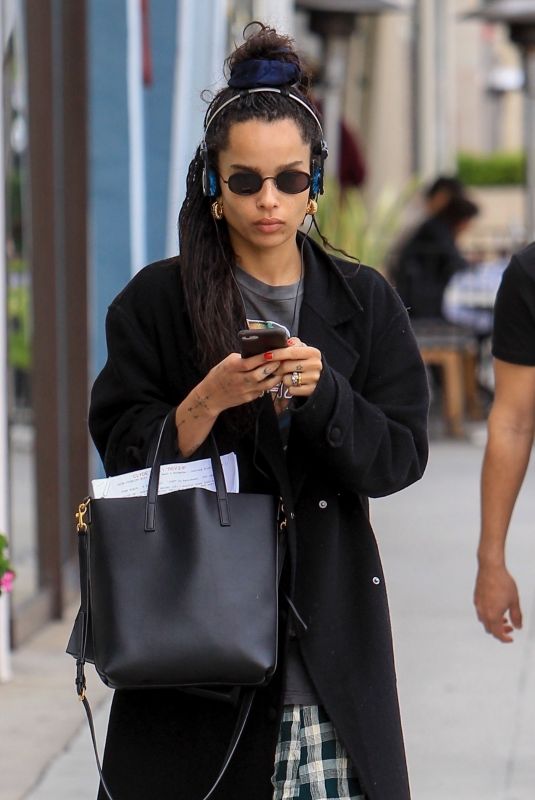 ZOE KRAVITZ Out Shopping on Rodeo Drive in Beverly Hills 02/12/2019