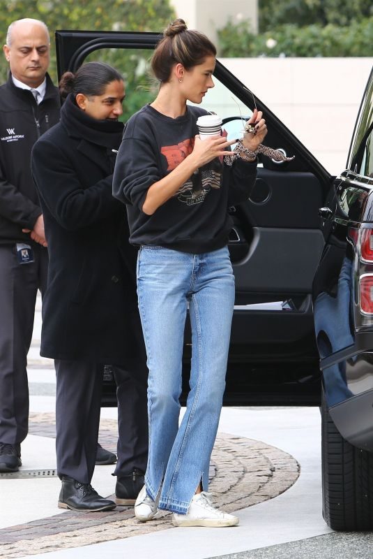 ALESSANDRA AMBROSIO Arrives at a Hotel in Beverly Hills 03/05/2019