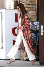 ALESSANDRA AMBROSIO at a Gas Station in Malibu 03/21/2019