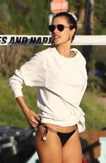ALESSANDRA AMBROSIO in Bikini at a Beach in Los Angeles 03/18/2019