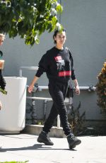 AMANDA STEELE Out and About in Los Angeles 03/26/2019