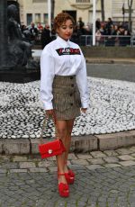 AMANDLA STENBERG at Miu Miu Show at Paris Fashion Week 03/05/2019