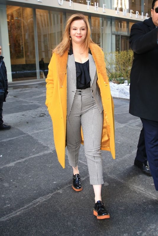 AMBER TAMBLYN Out in New York 03/04/2019