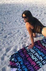 CLAUDIA ROMANI in Bikini Celebrates St Patrick