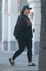 DEMI LOVATO Out Shopping in Beverly Hills 03/15/2019