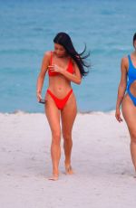 GEMMA LEE FARRELL amd PAULA SUAREZ in Bikinis at a Beach in Miami 03/21/2019