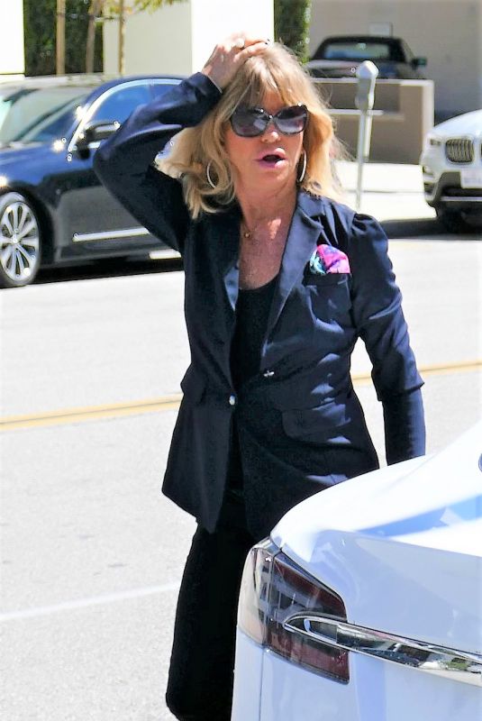 GOLDIE HAWN Out for Lunch in Los Angeles 03/14/2019