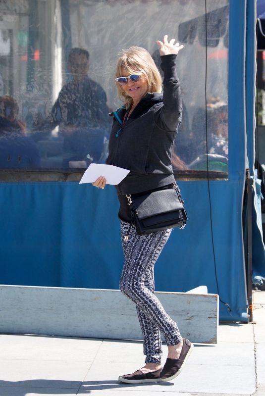 GOLDIE HAWN Out for Lunch in Los Angeles 03/29/2019