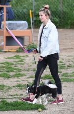 IRELAND BALDWIN at a Dog Park in Hollywood Hills 03/13/2019