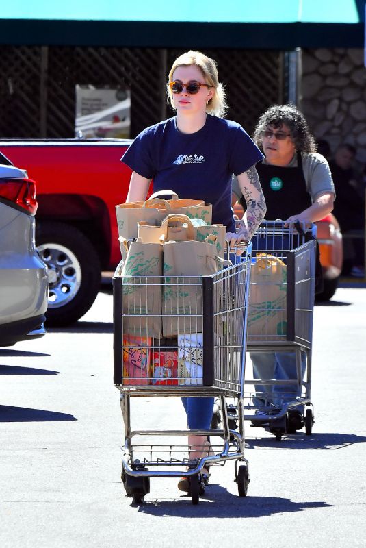 IRELAND BALDWIN Leaves Whole Foods in Los Angeles 03/19/2019