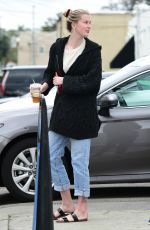 IRELAND BALDWIN Out Shopping in Studio City 03/23/2019