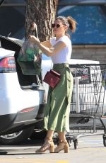 JENNA DEWAN Out Shopping in Studio City 03/17/2019