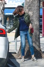 JENNA DEWAN Out Shopping in Studio City 03/22/2019