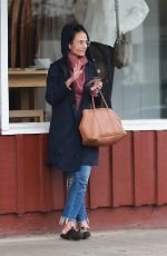 JORDANA BREWSTER Out in Brentwood 03/06/2019