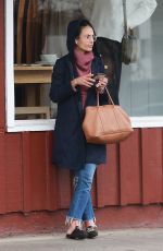 JORDANA BREWSTER Out in Brentwood 03/06/2019