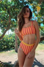 JOSEPHINE SKRIVER in Bikini - Instagram Pictures and Video, March 2019