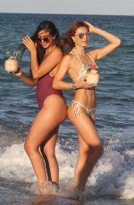 JULIA PEREIRA in Bikinis at a Photoshoot in Miami 03/03/2019