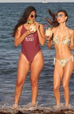 JULIA PEREIRA in Bikinis at a Photoshoot in Miami 03/03/2019