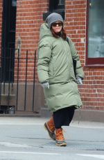 JULIANNE MOORE Out Shopping in New York 03/07/2019