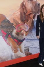 KATHERINE SCHWARZENEGGER at Superpower Dogs Premiere in Los Angeles 03/09/2019
