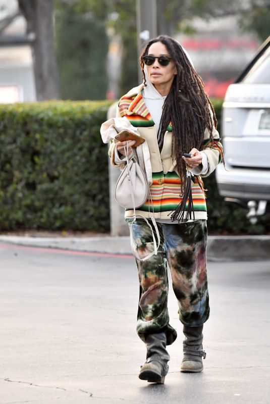 LISA BONET Out Shopping in Calabasas 03/01/2019