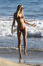 LUDI DELFINO in Bikini on the Beach in Los Angeles 03/19/2019