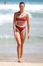 MONTANA COX in Bikini at Bondi Beach in Sydney 03/02/2019