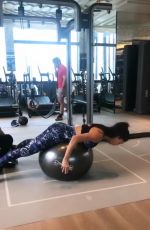 NICOLE SCHERZINGER Workout at a Gym 03/27/2019 Instagram Video