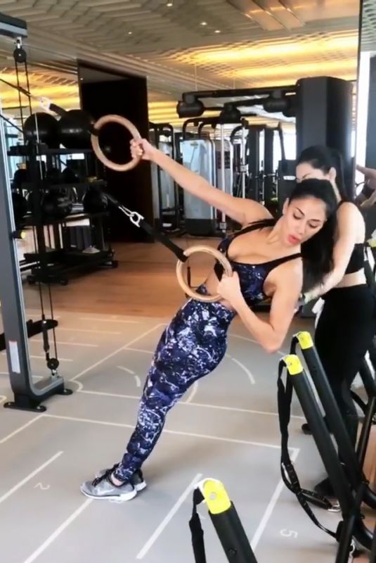 NICOLE SCHERZINGER Workout at a Gym 03/27/2019 Instagram Video