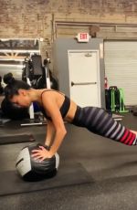 NICOLE SCHERZINGER Workout at a Gym, March 2019 - Instagram Pictures and Video