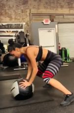 NICOLE SCHERZINGER Workout at a Gym, March 2019 - Instagram Pictures and Video