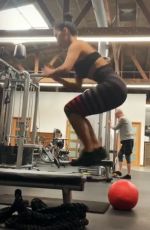 NICOLE SCHERZINGER Workout at a Gym, March 2019 - Instagram Pictures and Video