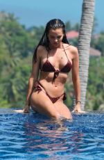 SHELBY TRIBBLE in Bikini at a Pool in Thailand 03/08/2019
