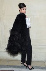 SOFIA CARSON at Elie Saab Show at Paris Fashion Week 03/02/2019