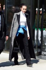 SOFIA CARSON Out and About in New York 03/20/2019