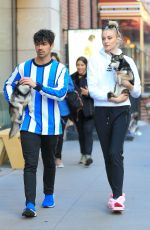 SOPHIE TURNER and Joe Jonas Out with Their Dogs in New York 03/12/2019