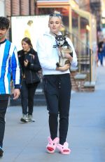 SOPHIE TURNER and Joe Jonas Out with Their Dogs in New York 03/12/2019