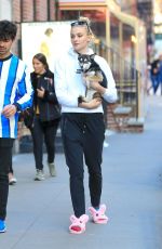 SOPHIE TURNER and Joe Jonas Out with Their Dogs in New York 03/12/2019