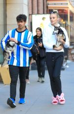 SOPHIE TURNER and Joe Jonas Out with Their Dogs in New York 03/12/2019