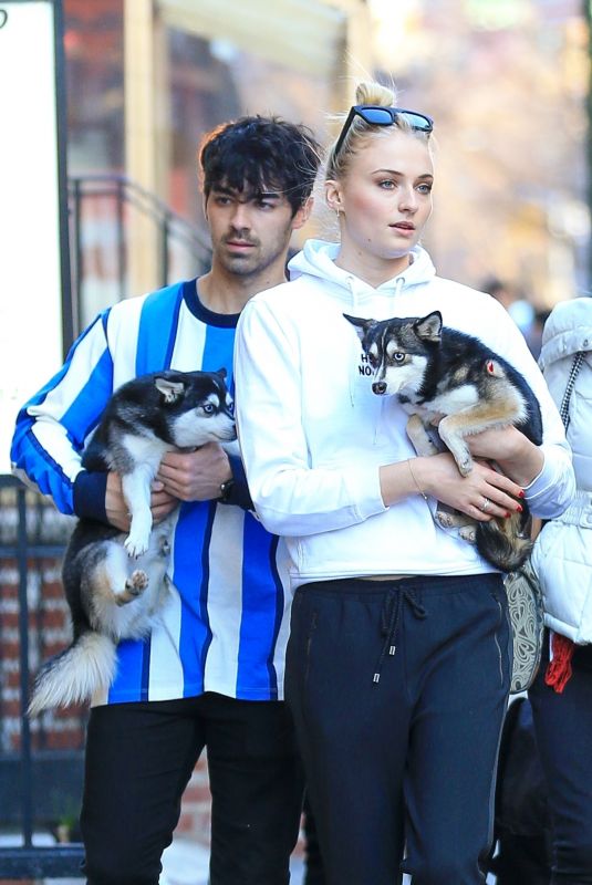 SOPHIE TURNER and Joe Jonas Out with Their Dogs in New York 03/12/2019